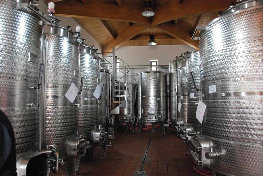 מנצ'יאנו Agriturismo Sant' Antonio מראה חיצוני תמונה